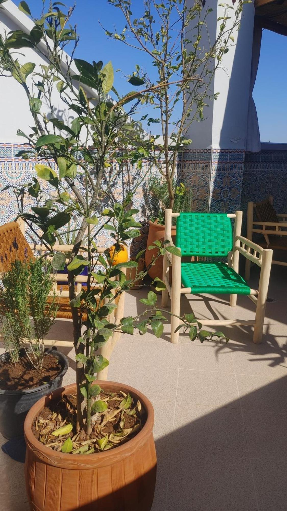 Dar Amane - Charmante Maison Marocaine マラケシュ エクステリア 写真
